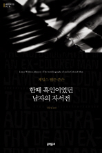 한때 흑인이었던 남자의 자서전 (보급판) (문학동네 세계문학전집 028)